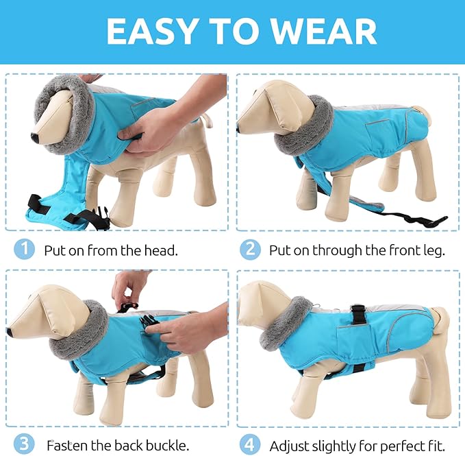 Queenmore Winter Dog Jackets, Dog Coats for Small Puppy, Warm Reflective Winter Dogs Coat, Waterproof Fall Pet Coats, Blue, S