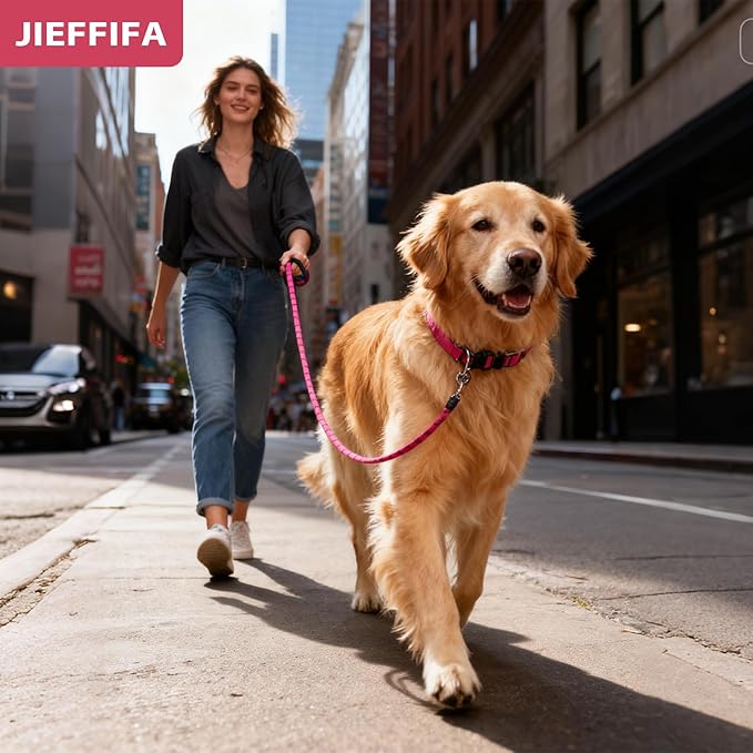 Nylon Dog Leash for Medium Large Dogs, 5-FTReflective Heavy Duty Leash with Comfortable Handle & Poop Bag Dispenser Ring, 1/2 Inch Wide, Secure Reinforcement for Walking (Red, L)