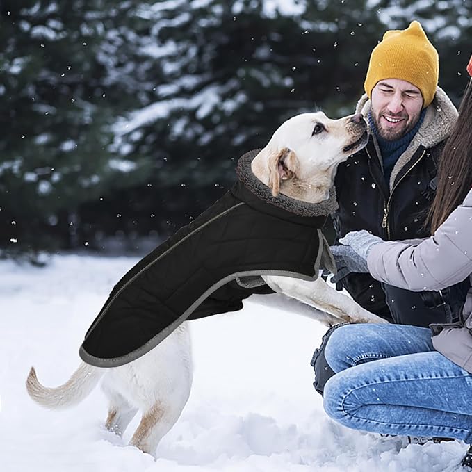 Fragralley Dog Coat Large, Waterproof Dog Jacket with Warm Fleece Lining, Adjustable Reflective Dogs Winter Coat, Turtleneck Pet Coats for Cold Weather (Black XL)