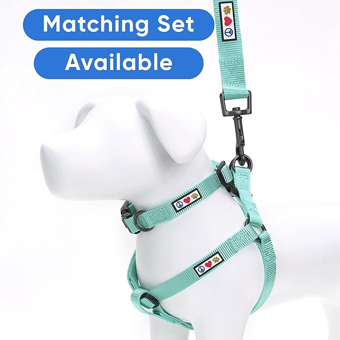Pawtitas Personalized Dog Leash Embroidered Customize with Your Pet Name & Phone Number Puppy 6 ft Long Extra Small Teal Custom Engraved, Customized 2XS (Pack of 1)