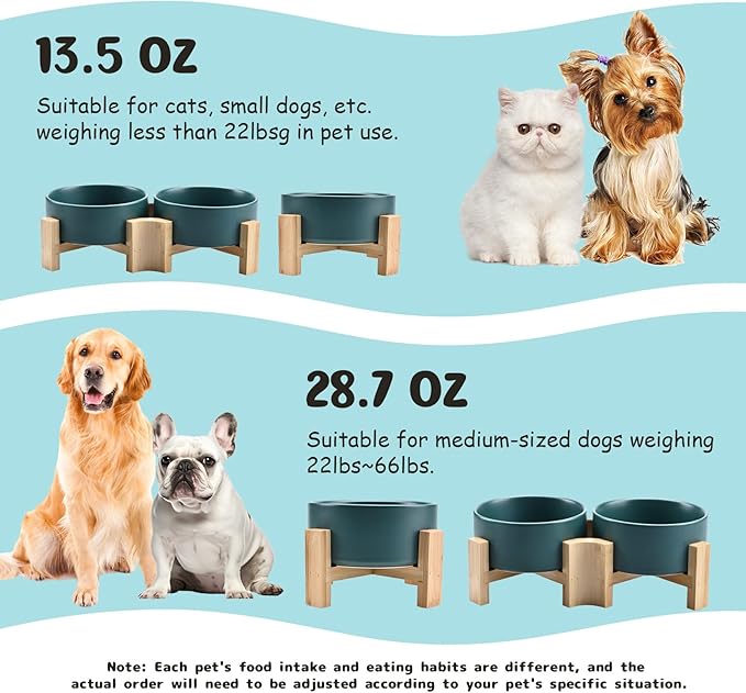 SPUNKYJUNKY 15° Slanted Ceramic Dog and Cat Bowl with Wooden Stand, Tilted Bulldog Food and Water Bowl No Slip Non-Spill for Cats Medium Dogs Big Face Pets 28.7 OZ (3.6 Cups, Green × 2)