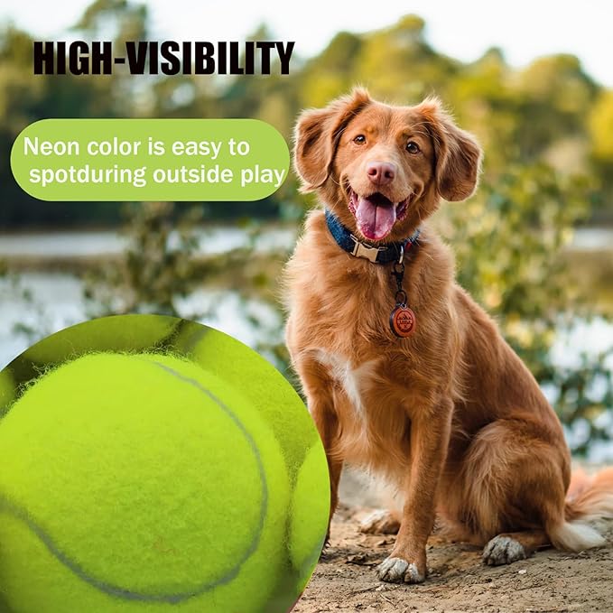 Magicorange Squeaky Tennis Ball Dog Toys 4 inch Oversize Giant Tennis Ball for Fetch Exercise, Natural Rubber Squeaky Dog Balls Training Safe (Multicolor, 2 Pack)