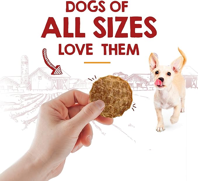 Riley's Waffles Chicken Chips for Dogs with Turmeric, USA Sourced Chicken Dog Treats - Limited Ingredient Healthy Treats, Dehydrated Jerky Dog Treats