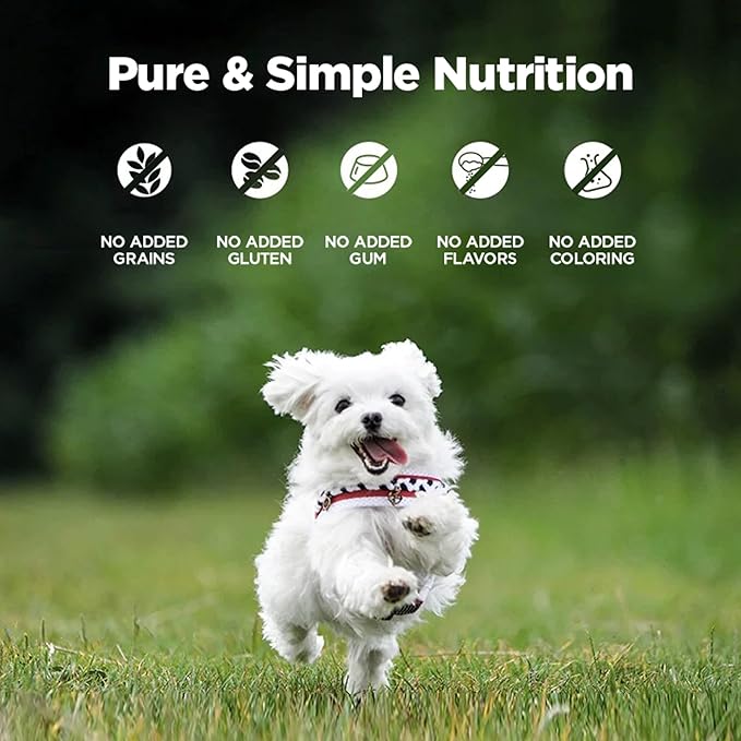 ZEAL New Zealand Wet Dog Food – High Protein, Pure Nutrition, Grain-Free with Superfoods (Lamb, 13.76oz Can 12-Pack)