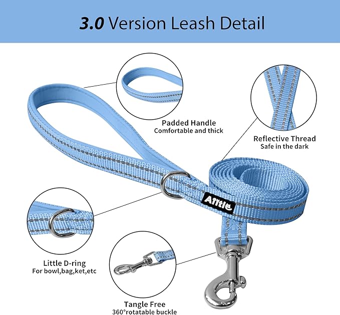 AIITLE Small Harness for Puppy with A Leash - Summer Dog Vest Harness with Super Breathable Mesh, Reflective No-Pull Pet Harness for Outdoor Walking, Camping for Small Dogs, Cats Pure Blue XXS