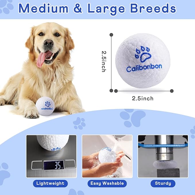 Durable Dog Balls - Tough Chew-Resistant TPU Fetch Toys for Aggressive Chewers, Puppies to Large Breeds - Floating Water & Dental Teeth Cleaning Balls (2.5 Inch,3-Pack, White)