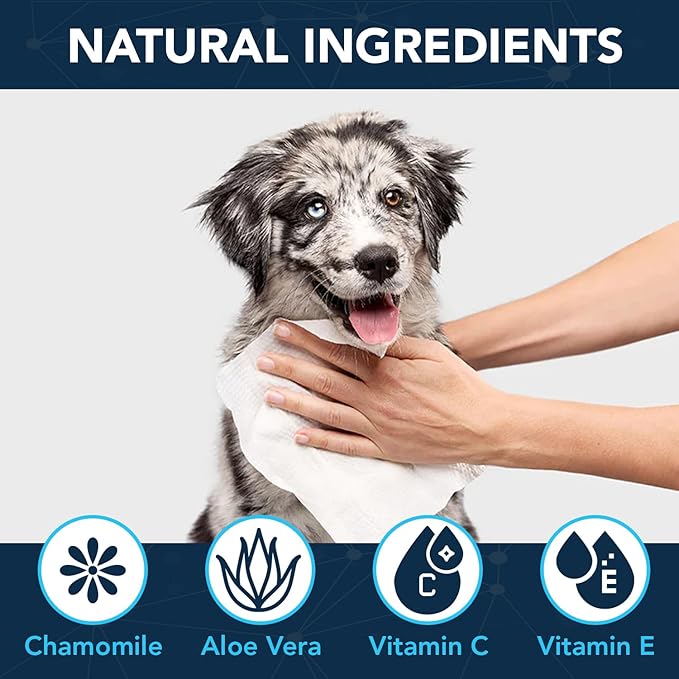 NOVEHA 120PCs Dog Wipes - Odor Eliminating and Cleaning Grooming Wipes for Dog's Paws, Body, and Butt - Perfect for Puppy and Adult Dogs - Plant-Based, Safe, Convenient & Large Unscented Wipes