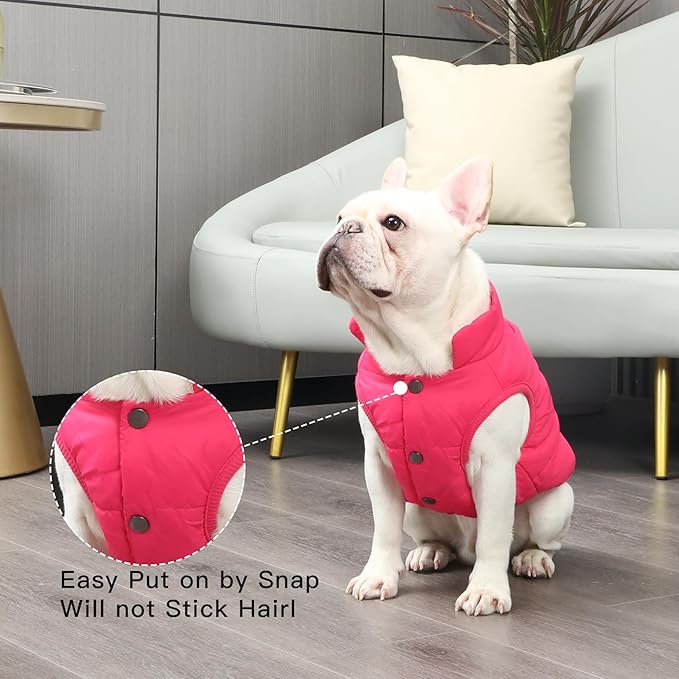 2 Layers Fleece Lined Warm Dog Jacket for Puppy Winter Cold Weather,Soft Windproof Small Dog Coat,Pink XS