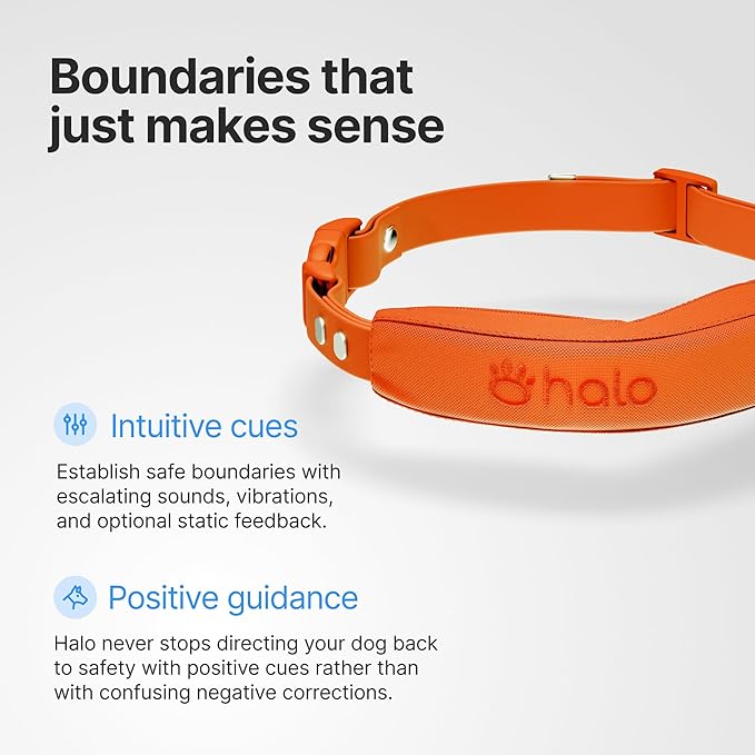 Halo Collar 5, New Wireless Dog Fence & GPS Dog Collar, Subscription Required, Waterproof, Blaze, One Size