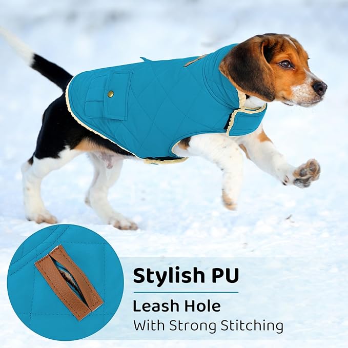 Queenmore Dog Winter Coat Warm Puffer Jacket Waterproof Plush Lining Thermal Cold Weather Vest for Small Medium Large Dogs, Windproof Easy On Pet Jacket Blue XS