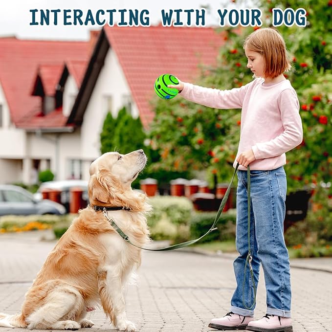 HYQ Interactive Ball for Small Medium Large Dogs - Squeaky Toy to Keep Them Busy - 3.94 Inch Puppy Ball