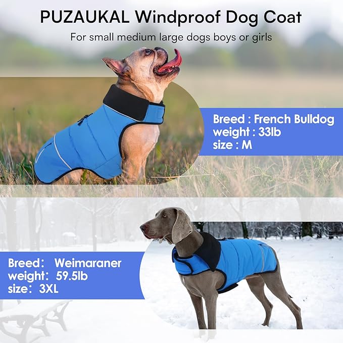 Dog Coat, Small Medium Dog Jacket, Windproof Dogs Puffer Jacket, Fleece Lined Warm Dogs Winter Coat with Harness Hole (Blue L)