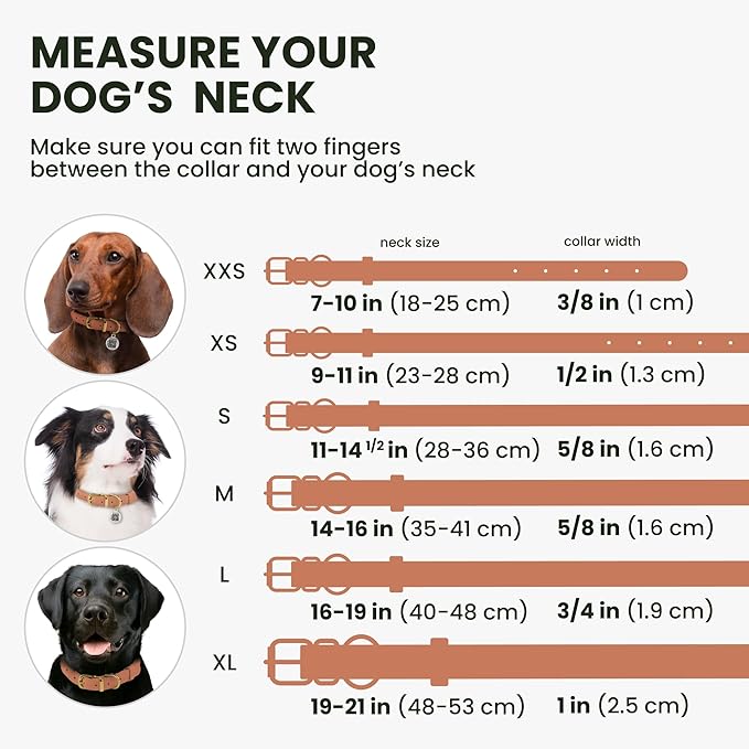 BronzeDog Rolled Leather Dog Collar with QR ID Tag, Adjustable Soft Round Collars for Small Medium Large Dogs Puppy (9" - 11" Neck Size, Peach)