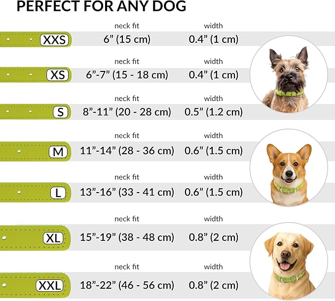 CollarDirect Rolled Leather Dog Collar, Soft Padded Round Puppy Collar, Handmade Genuine Leather Collar Dog Small Large Cat Collars 13 Colors (18-22 Inch, Lime Green Textured)