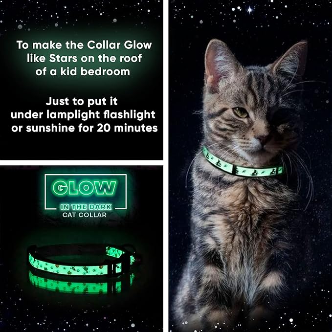 Pawtitas Glow in The Dark Cat Collar with Safety Buckle and Removable Bell Cat Collar Kitten Collar Blue Cat Collar