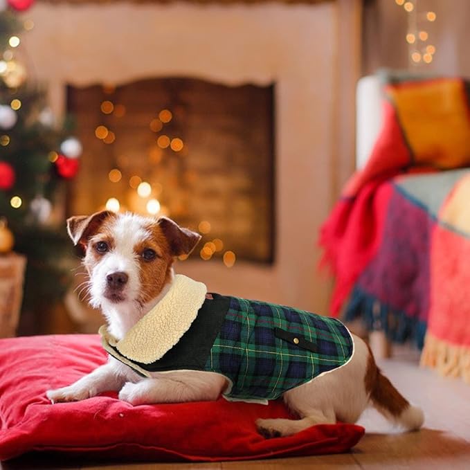 Winter Coat for Small and Medium Dogs, Puppy Plaid Jacket, Cotton Coat for Cold Weather, Windproof Warm Dog Garments, Pet Thickened Outfits Indoor Outdoor, Green XS