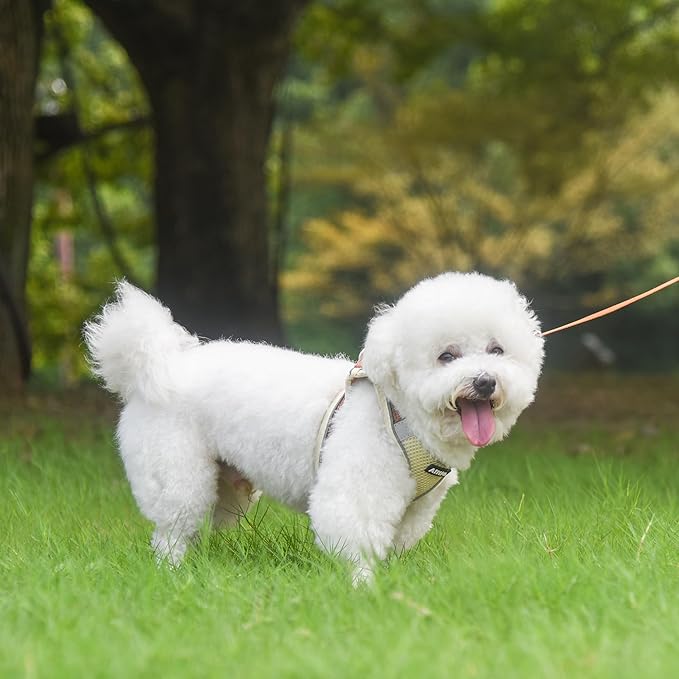 AIITLE Step in Dog Harness and Leash Set - Summer No Pull Escape Proof Vest Harnesses with Soft Mesh and Reflective Bands, Adjustable Pet Outdoor Harnesses for Small and Medium Dogs Beige M