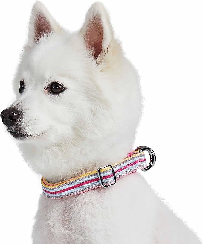 Blueberry Pet Safety Dog Collar with Dual D-Rings | 3M Reflective Multi-Colored Adjustable Collar in Pink and Pastel Blue | Soft Nylon Dog Collar for Active Small Dogs