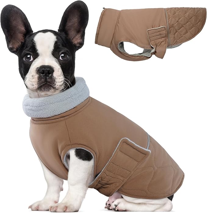 BRKURLEG Dog Winter Coat, Warm Dog Jackets for Small and Medium Large Dogs, Reflective Adjustable Pet Cold Weather Coats, Waterproof Windproof Dogs Snow Jacket Clothes Warm Vest (M, Khaki)