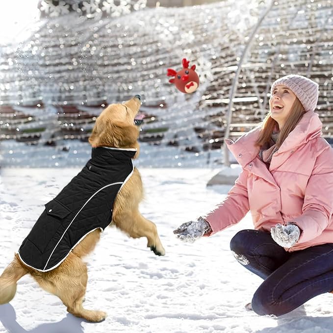 Malier Dog Winter Coat, Windproof Dog Cold Weather Coats with Real Pocket, Winter Extra Warm Pet Coat Fleece Jacket Reflective Clothes for Small Medium Large Dogs and Puppy (Black, Large)