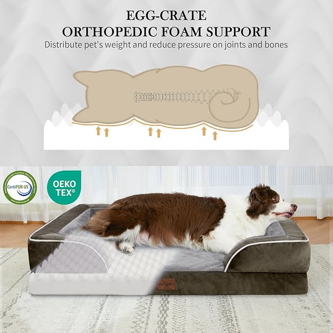 Comfort Expression Orthopedic Dog Bed for Small Dogs 20x14 Inch, Waterproof Supportive Egg Crate Foam Small Pet Bed with Removable Bolsters, Dog Couch with Washable Cover & Non-Slip Bottom, Dark Green