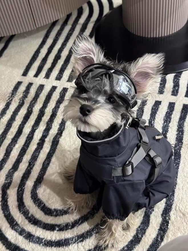 Mile High Life Waterproof Dog Raincoat, Full Coverage Small Dog Rain Coat with Harness, Adjustable 4 Legs Puppy Rain Jacket with Reflective Strip and Elastic Cuffs (Gray, M Back Length 14.6")