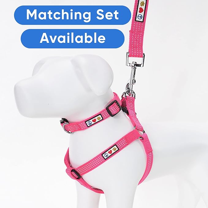 Pawtitas 6 FT Dog Leash - Comfortable Handle, Highly Reflective Threads, Heavy Duty Training Leash (Medium 6 FT)