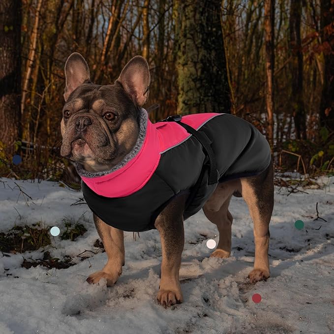 IECOii Extra Warm Dog Coat with Reflective Adjustable Fleece Turtleneck for Cold Weather in Small, Medium, Extra Large Sizes