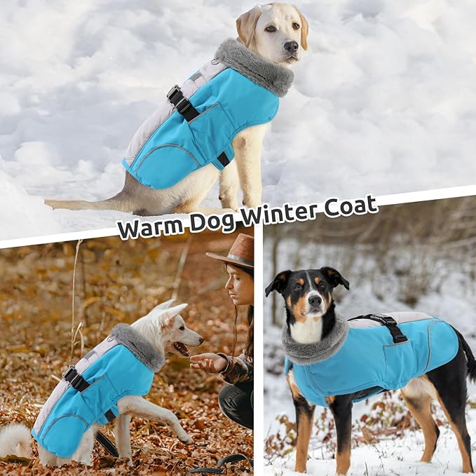 Queenmore Winter Dog Jackets, Dog Coats for Small Puppy, Warm Reflective Winter Dogs Coat, Waterproof Fall Pet Coats, Blue, S
