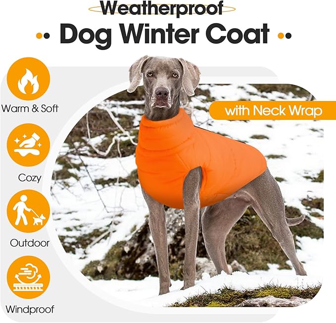 Medium Dog Jacket with Zipper, Hunter Orange Dog Coats for Medium Dogs, Warm Waterproof Winter Snow Puffer Vest for French Bulldog, Boston Terrier, Cocker, Beagle, Orange M