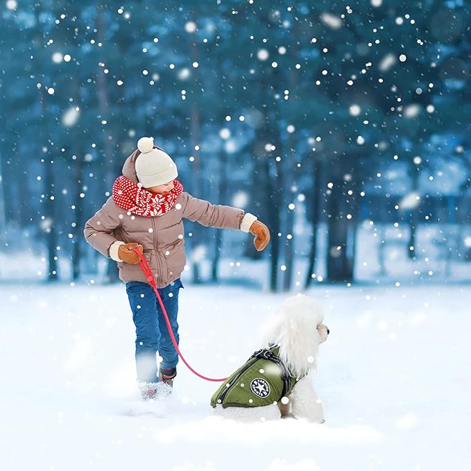 Warm Winter Coat, Fashion Sports Dog Cold Weather Jacket with Built-in Harness, Reflective, Waterproof Windproof Dog Apparel for Small Dogs (Green)