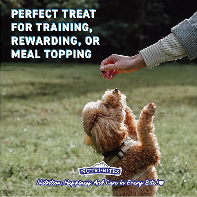 Nutri Bites Freeze Dried Chicken Dog & Cat Treats, 4 oz | Healthy Pet Training Treats or Food Topper | All Natural, 1 Single Animal Protein, High Protein (Pack of 2)