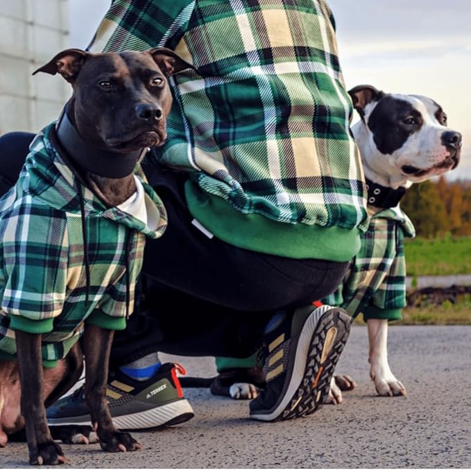 Spark Paws Dog Hoodie – Premium Dog Sweater for Small, Medium, and Large Dogs | Warm Outfits for French Bulldogs, Pitbull, Puppy, Winter Jacket Alternative - Green Plaid - 2XL