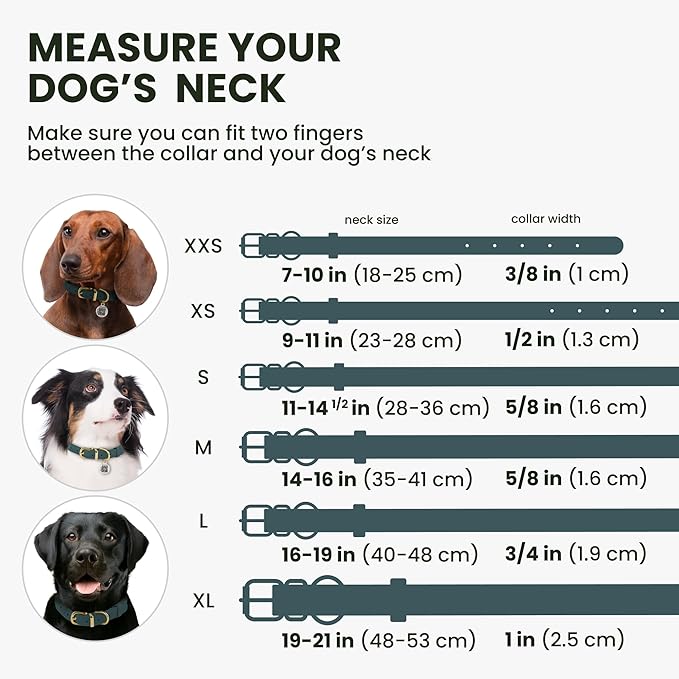 BronzeDog Rolled Leather Dog Collar with QR ID Tag, Adjustable Soft Round Collars for Small Medium Large Dogs Puppy (16" - 19" Neck Size, Denim)