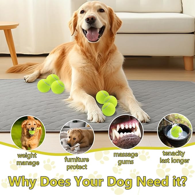 Swingers Squeaky Tennis Balls for Dogs,2.5 inch Training Tennis Balls,Exercise Ball for Pet Dog with Mesh Carry Bag Easy to Transport (Multicolor, 6 Pack)
