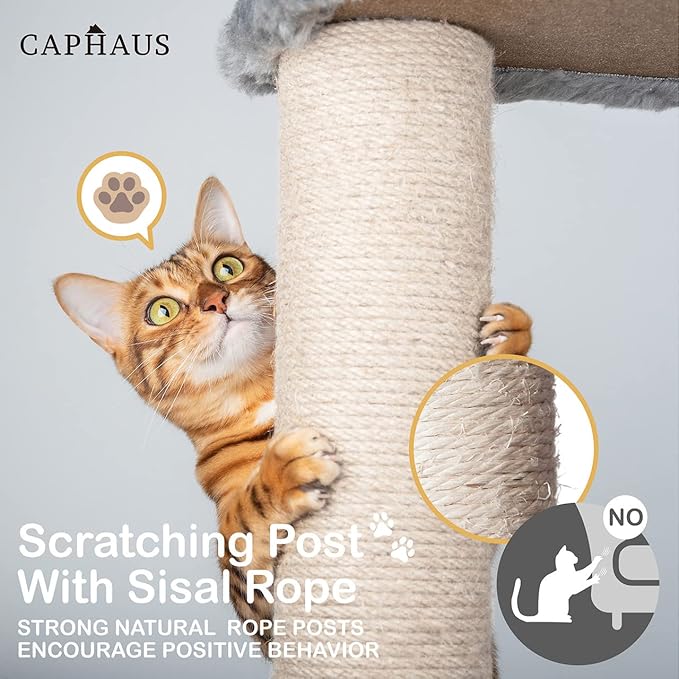 CAPHAUS 70-Inch Multi-Level Tall Cat Tree with Cute Top Perch, Scratching Posts, Cat Activity Tree w/Modern Hammock, Cat Cave Condo for Large Cats Kittens Tall Cat Climbing Play Tower