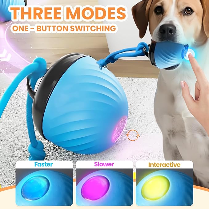 Interactive Dog Toys Ball, 2026 New Smart Pet Puppy Ball with Ropes, Random Path Electric Automatic Moving and Rolling Dogs Toy, for Small Medium Large Dogs Daily Training (Blue*2)
