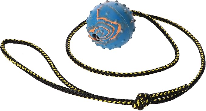 Dingo Fetch Ball Made of Hard Rubber with Knobs and String, Small, for Aport Game Dog Training 17321