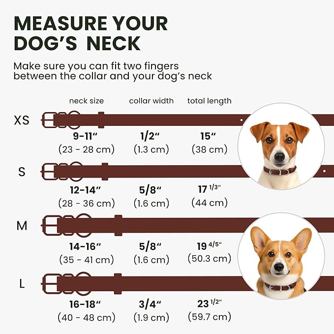 BRONZEDOG Rolled Leather Dog Collar for Small Medium Large Dogs with QR ID Tag (L: 16-18 Inch, Chocolate Brown)