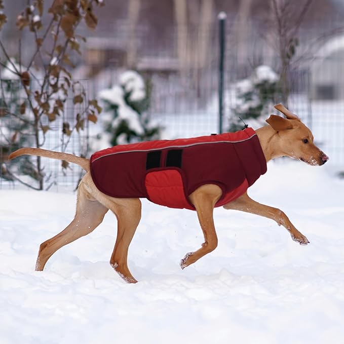 Kuoser Dog Jacket, Dog Coats for Large Dogs Winter Waterproof, Reflective Doggie Vest with Leash Hole, Cold Weather Coats Pet Snow Jacket for Labrador Beagle, Red XL