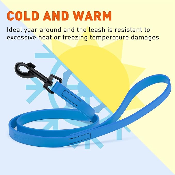Dogline Biothane Waterproof 6ft Dog Leash Strong Coated Nylon Webbing with Black Hardware Odor-Proof Easy to Clean High Performance for Small or Large Dogs Made in USA 6ft Lead, Cerulean Blue