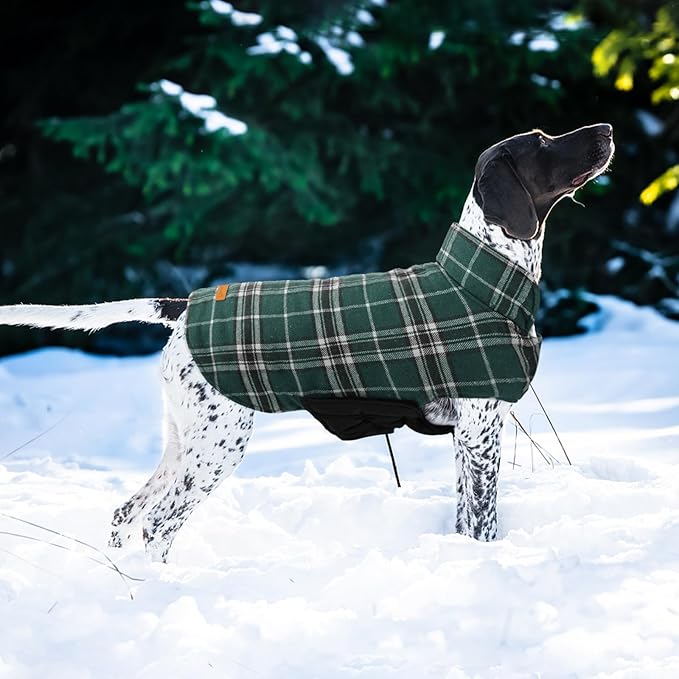 Kuoser Waterproof Dog Coat, Reversible Dog Jacket for Medium Dogs, Adjustable Durable Doggie Winter Coat Warm Puppy Cold Weather Apparel from Small to Large Breed, Green M