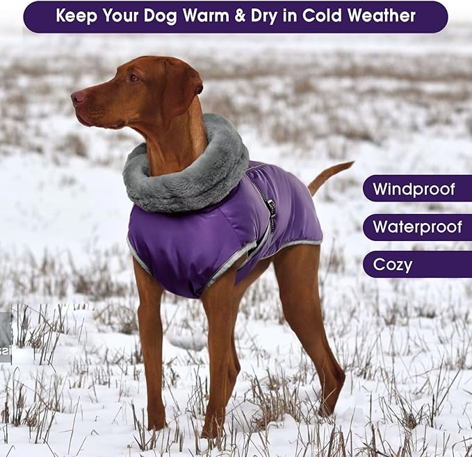 Dog Coats for Large Dogs,2XL Warm Fleece Winter Jacket,Dog Coat with Leash Hole,Waterproof Pet Cold Weather Coats Vest,Dogs Winter Clothes,Reflective Turtleneck PRT Snowsuit,Purple,2XL