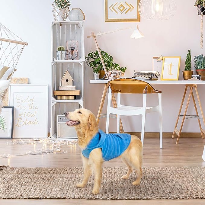 EXPAWLORER Dog Hoodie Fleece Sweater Vest, Hooded Dog Sweatshirt Fall Winter Pet Clothes with Leash Ring, Sleeveless Warm Cozy Puppy Clothing for Cat Small Medium Large Dogs Girl Boy, Blue M