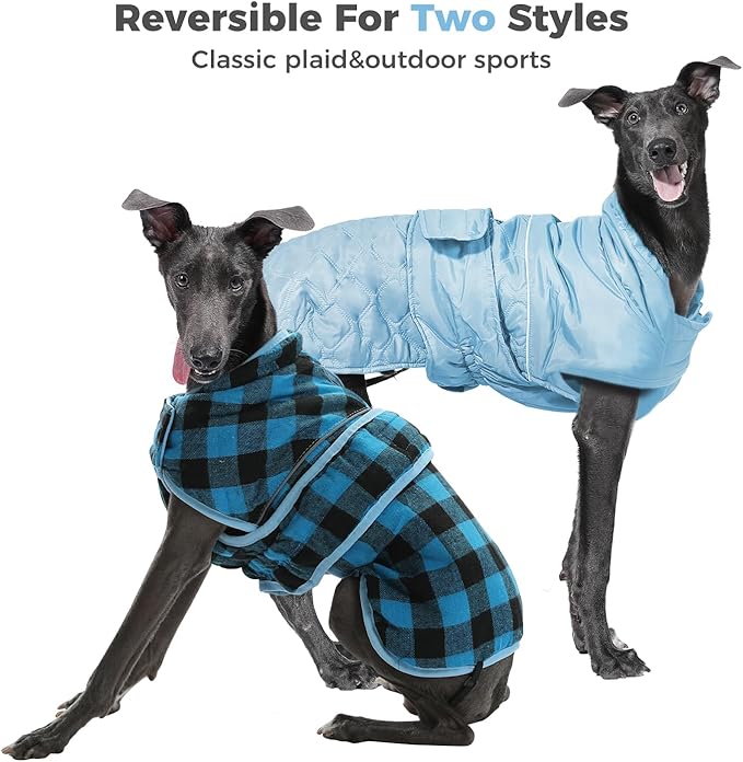 PAWZ Road Dog Winter Coat with 5 Layers Warm Material, Reversible Dog Clothes with 2 Sides, Dog Jacket Outdoor Water Repellent, (Blue Plaid 2XL)