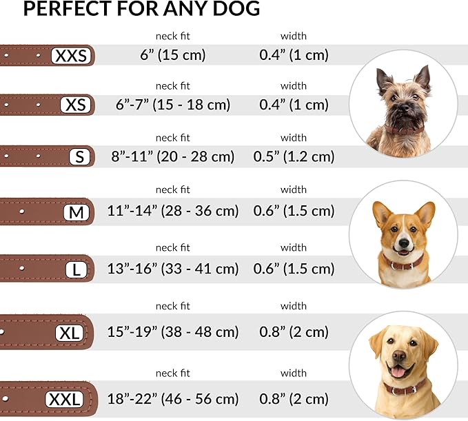 CollarDirect Rolled Leather Dog Collar, Soft Padded Round Puppy Collar, Handmade Genuine Leather Collar Dog Small Large Cat Collars 13 Colors (6-7 Inch, Cinnamon Smooth)
