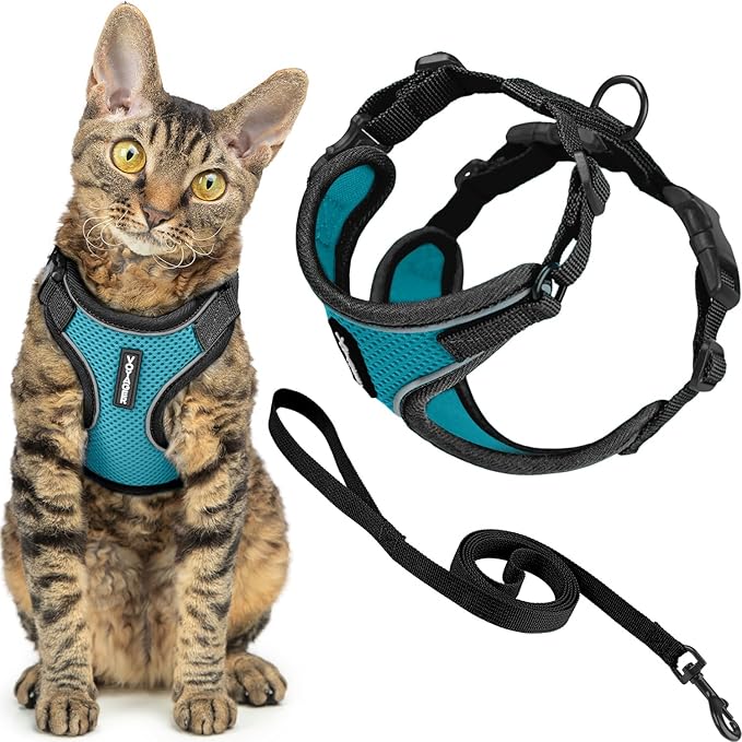 Voyager Escape Proof Cat Harness and Leash Set with Reflective Stitching, Neoprene Handle 5ft - Supports Small, Medium and Large Cats, Kittens for Walking by Best Pet Supplies - BT-Turquoise, XS
