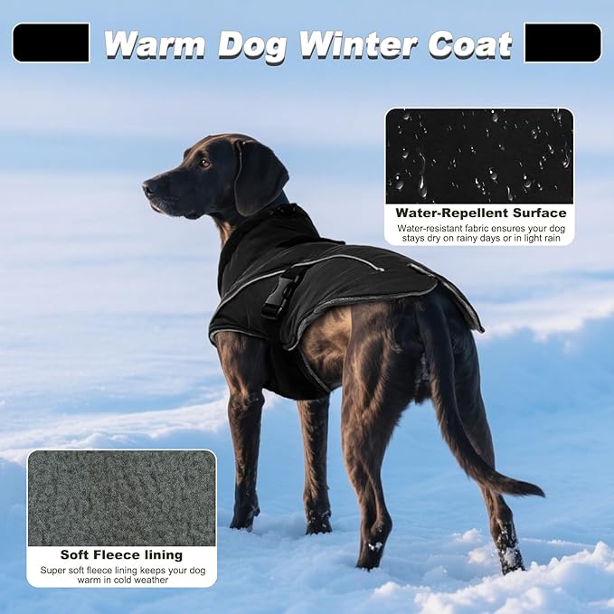 DENTRUN Medium Dog Winter Jacket - Warm Reflective Windproof Coat, Adjustable Neck & Snap Closure, Water Repellent Thick Fleece Vest, Fleece Lined for Beagle Pug, Black, M