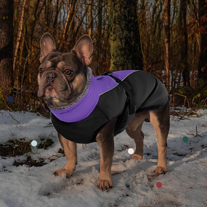 IECOii Extra Warm Reflective Dog Coat - Adjustable Winter Jacket with Buckle & Fleece Turtleneck for Small to Extra Large Dogs