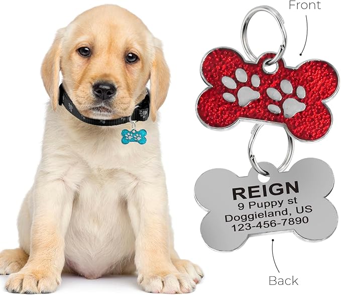 Personalized Dog Cute Paw Pet ID Tag for Pet Collar or Key Chain - cat Name tag, Personalized cat id tag, Kitten Name tag, Kitten id tag (Bone-Shaped-Small: Light Gold)